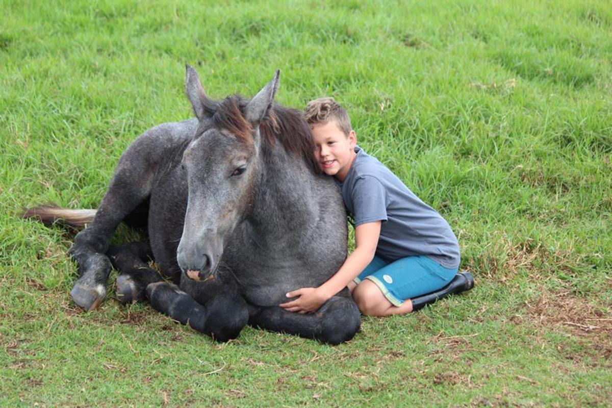 Outeniqua Moon Percheron Stud Farm Ruiterbos Exterior foto