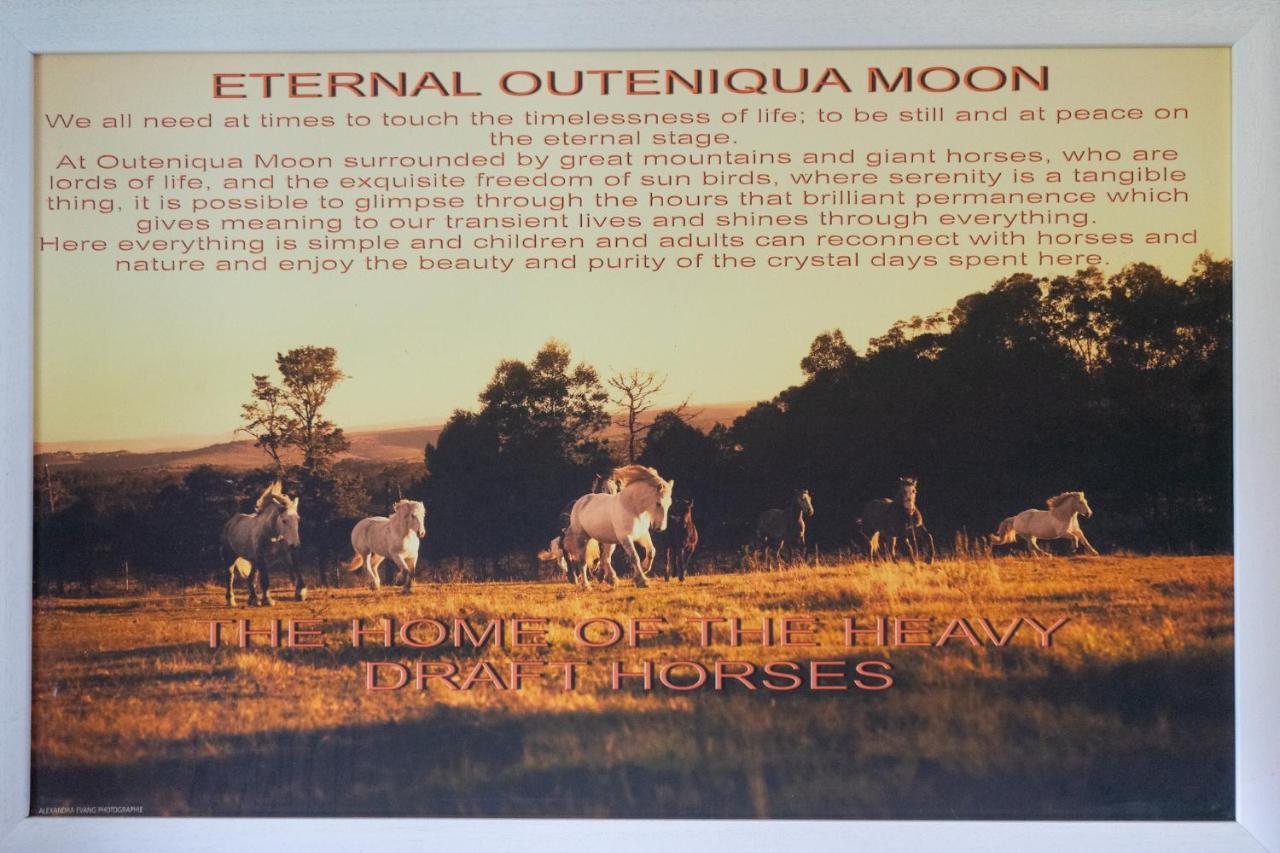 Outeniqua Moon Percheron Stud Farm Ruiterbos Exterior foto